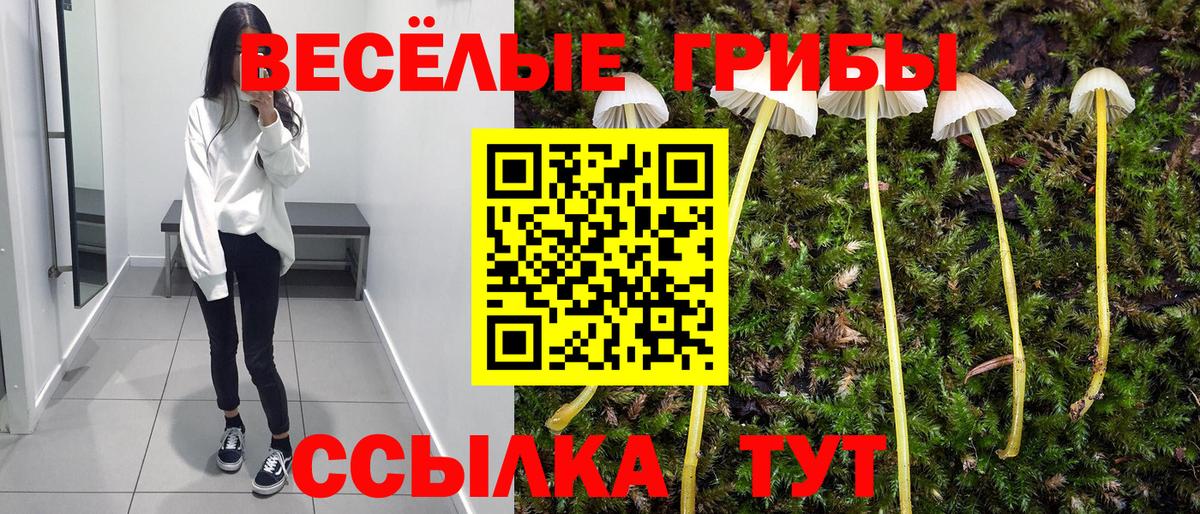 Галлюциногенные грибы ЛСД Уварово