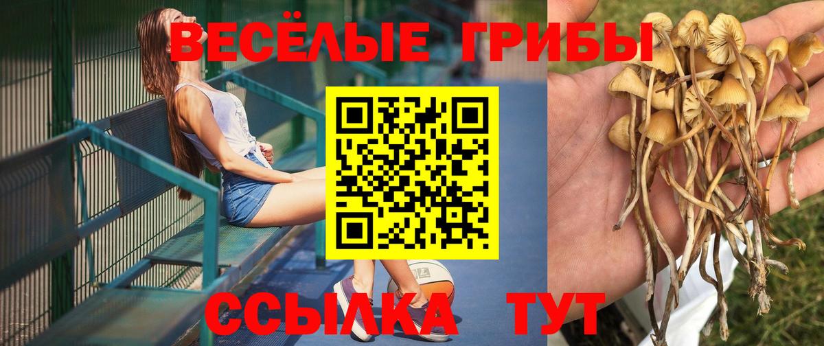 Галлюциногенные грибы прущие грибы  Вход с VPN  Галлюциногенные грибы прущие грибы  Уварово 